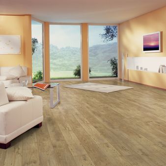 Laminatgolv Chestnut Nature 10mm